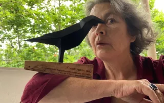 Premio a la mejor dirección en el Indie Lisboa