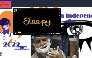 Festival Internacional de Cine de Concepción (Chile)