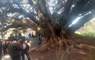 dia de la niñez en Argentina