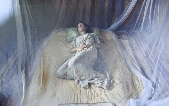 Inicio 6 Al sur del Mekong escena